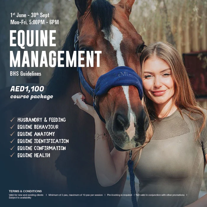 Equine Management