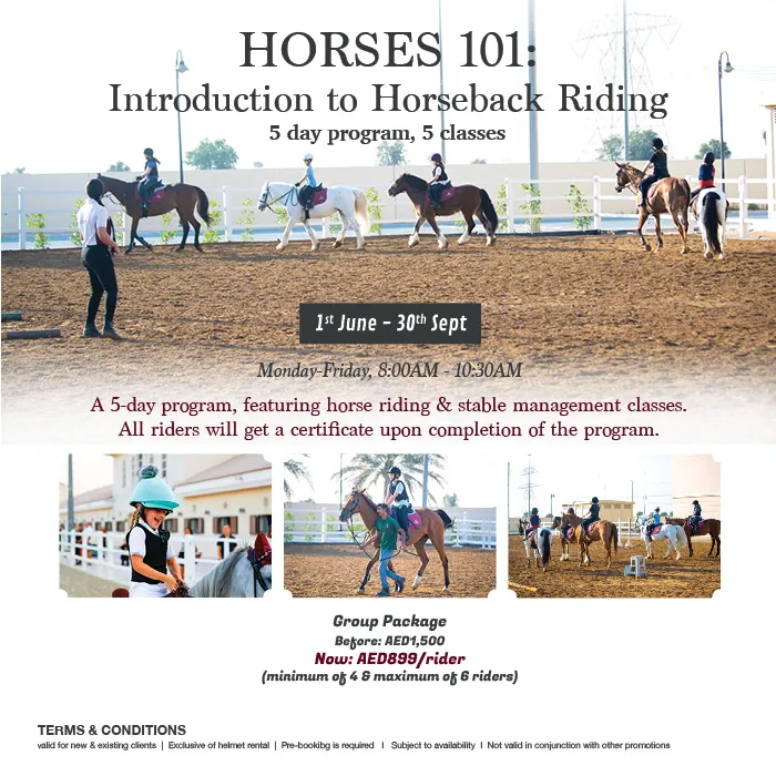 Horses 101: Introduction to Riding 