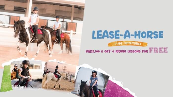 Lease A Horse