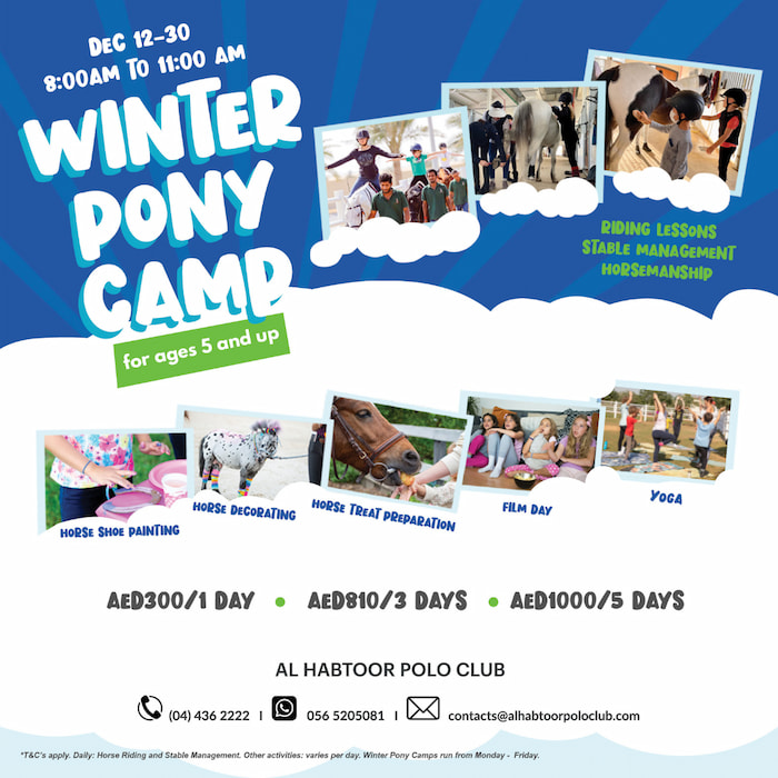 Winter Pony Camp