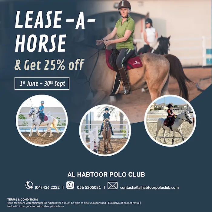 Lease A horse