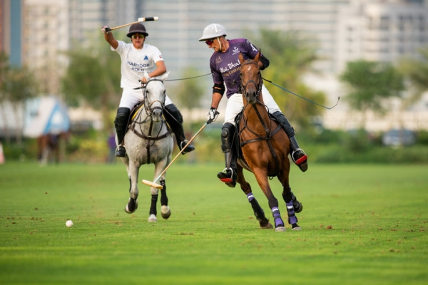 Dubai Cup 2019