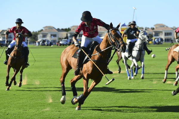 Polo Masters Cup 2020