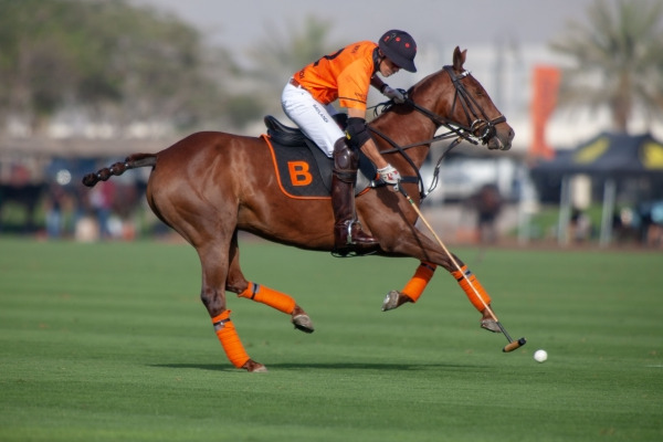 AHPRC League 2021 -  March
