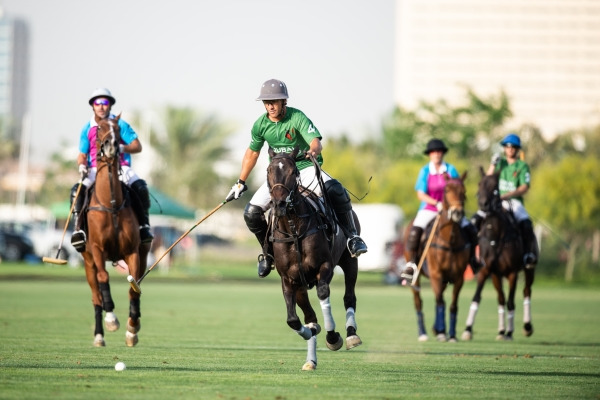 Dubai Cup 2019