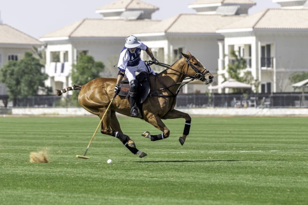 Polo Masters Cup 2021