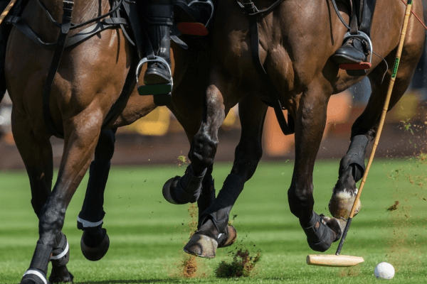 Polo Masters Cup 2021