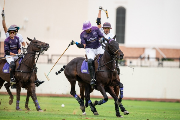 Dubai Cup 2019