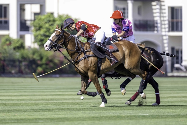 Polo Masters Cup 2023