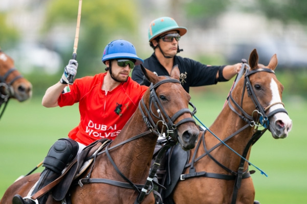 Dubai Cup 2019