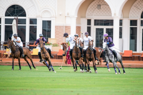 Dubai Cup 2019