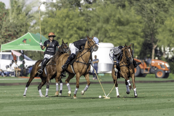 Standard Chartered Gold Cup 2020