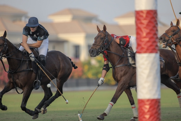 UAE National Day Cup 2021